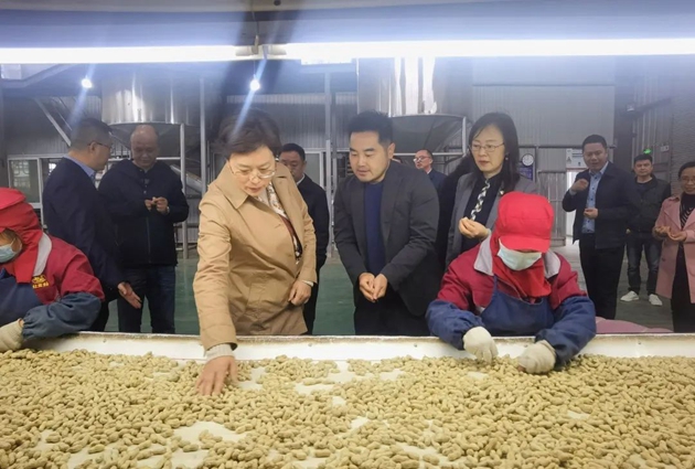朱莉在四川老灶煮食品有限公司查看花生挑拣情况.jpg